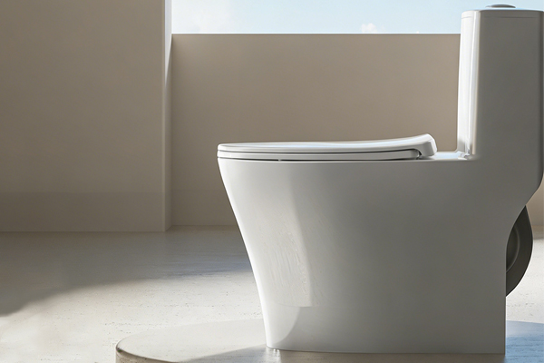 MEG granny flat inclusion — close-coupled toilet suite